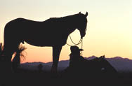 thumbnail link to photograph of Steve as Tom Horn on location, silhouette at dusk with horse